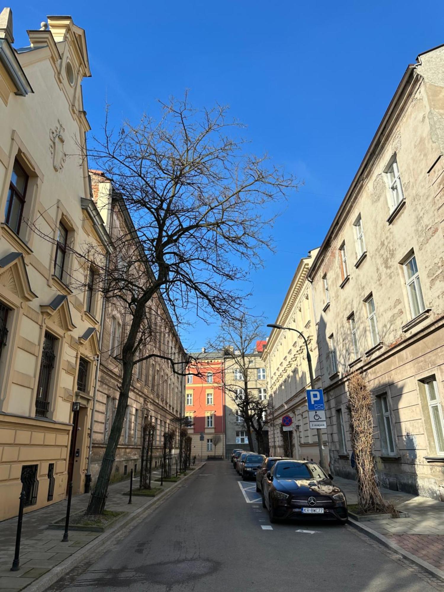 Perfect Place To Stay In Krakow City Center 18M2 W5 Eksteriør billede
